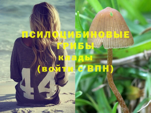 таблы Алексин