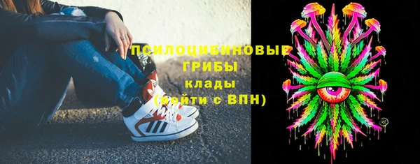 твердый Алзамай