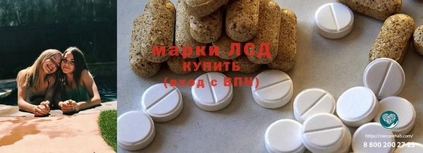 твердый Алзамай
